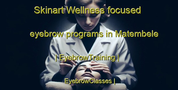 Skinart Wellness-focused eyebrow programs in Matembele | EyebrowTraining | EyebrowClasses | SkinartTraining-the Democratic Republic of the Congo